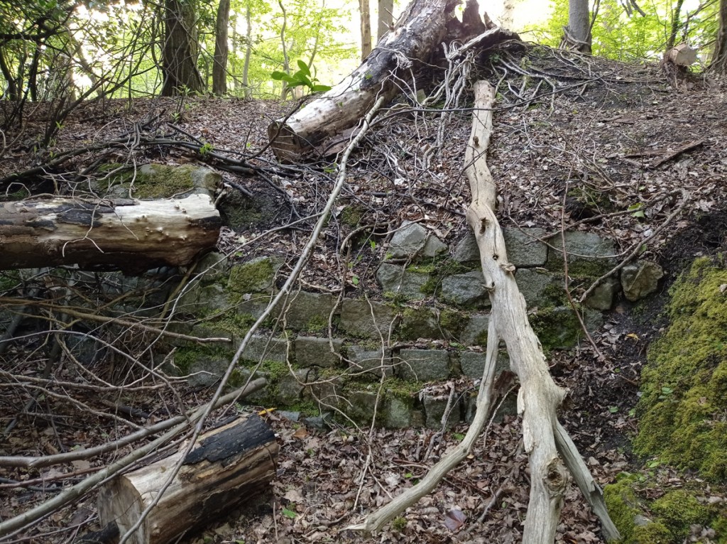 Ice House at Ruislip Woods / Battle of Britain House